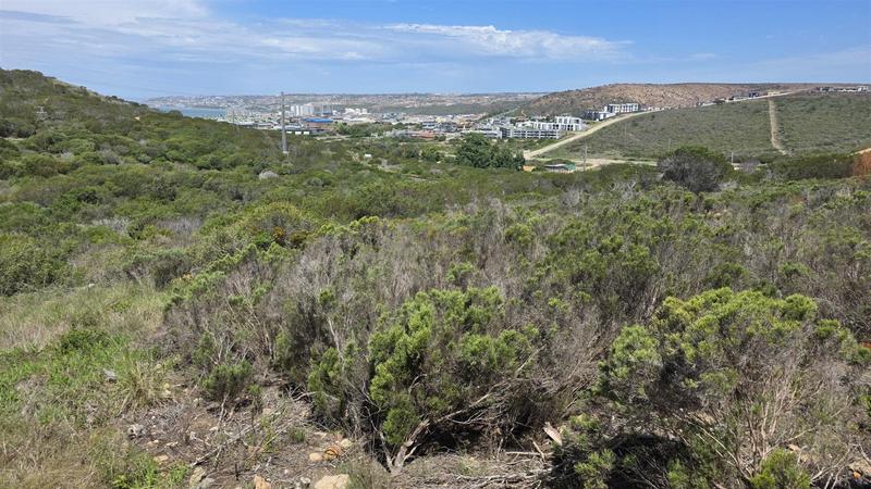 0 Bedroom Property for Sale in Seemeeu Park Western Cape
